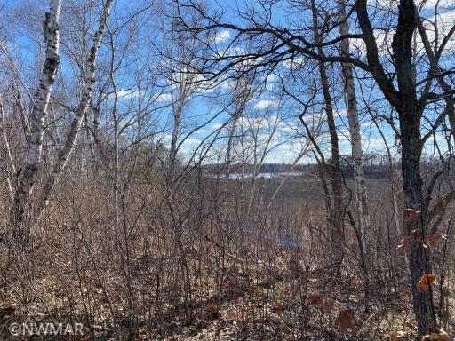 TBD (L10,B2) Grant Hills Road SW, Bemidji, MN 56601
