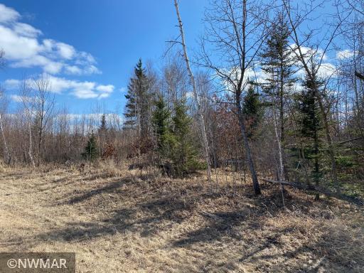 TBD (L10,B2) Grant Hills Road SW, Bemidji, MN 56601
