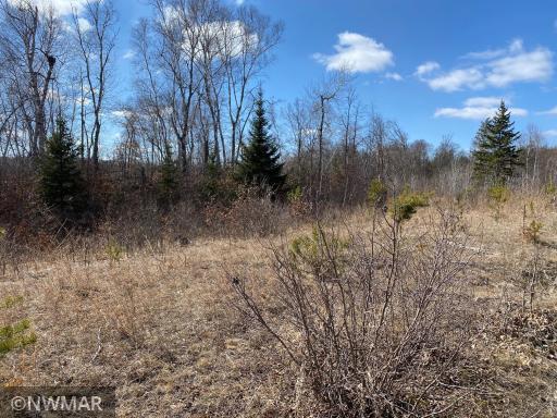 TBD (L10,B2) Grant Hills Road SW, Bemidji, MN 56601