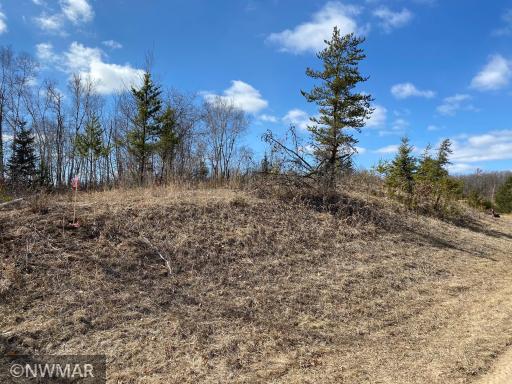 TBD (L10,B2) Grant Hills Road SW, Bemidji, MN 56601