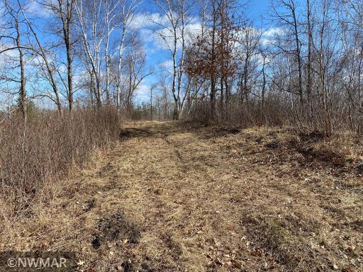 TBD (L10,B2) Grant Hills Road SW, Bemidji, MN 56601
