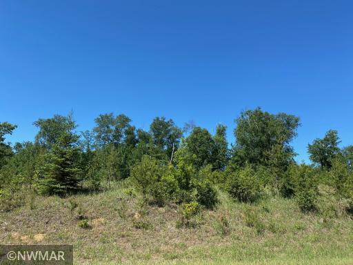 TBD (L10,B2) Grant Hills Road SW, Bemidji, MN 56601