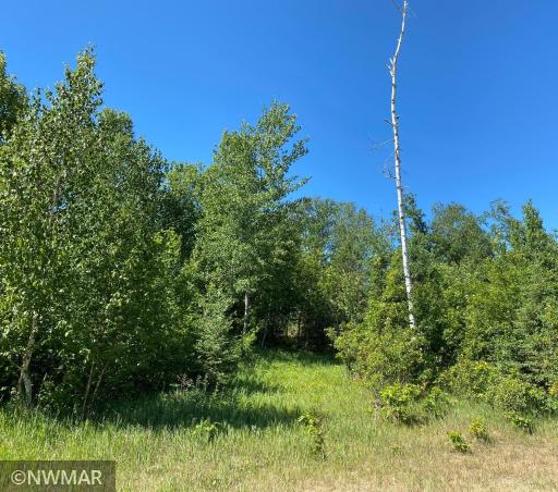 TBD (L10,B2) Grant Hills Road SW, Bemidji, MN 56601