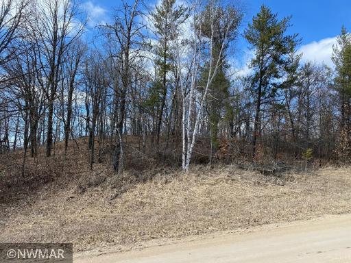 Photo for TBD (L12,B12) Grant Hills Road SW, Bemidji, MN 56601 - Listing #5734044 TBD (L12,B12) Grant Hills Road SW, Bemidji, MN 56601