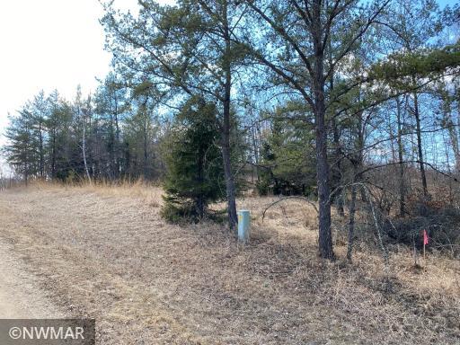 Photo for TBD (L12,B12) Grant Hills Road SW, Bemidji, MN 56601 - Listing #5734044 TBD (L12,B12) Grant Hills Road SW, Bemidji, MN 56601