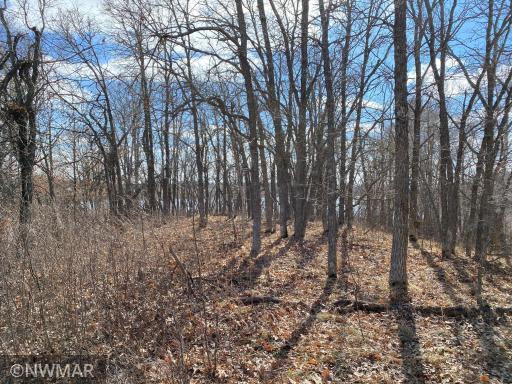 Photo for TBD (L12,B12) Grant Hills Road SW, Bemidji, MN 56601 - Listing #5734044 TBD (L12,B12) Grant Hills Road SW, Bemidji, MN 56601