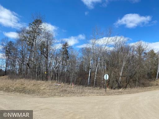 Photo for TBD (L12,B12) Grant Hills Road SW, Bemidji, MN 56601 - Listing #5734044 TBD (L12,B12) Grant Hills Road SW, Bemidji, MN 56601