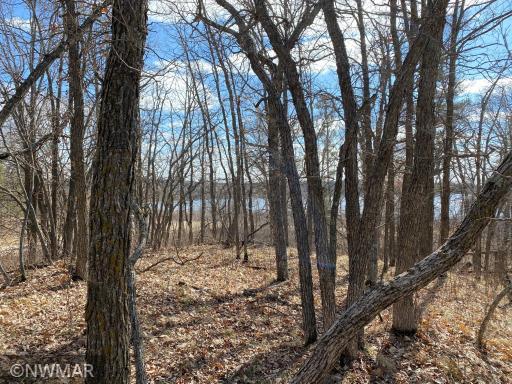 Photo for TBD (L12,B12) Grant Hills Road SW, Bemidji, MN 56601 - Listing #5734044 TBD (L12,B12) Grant Hills Road SW, Bemidji, MN 56601