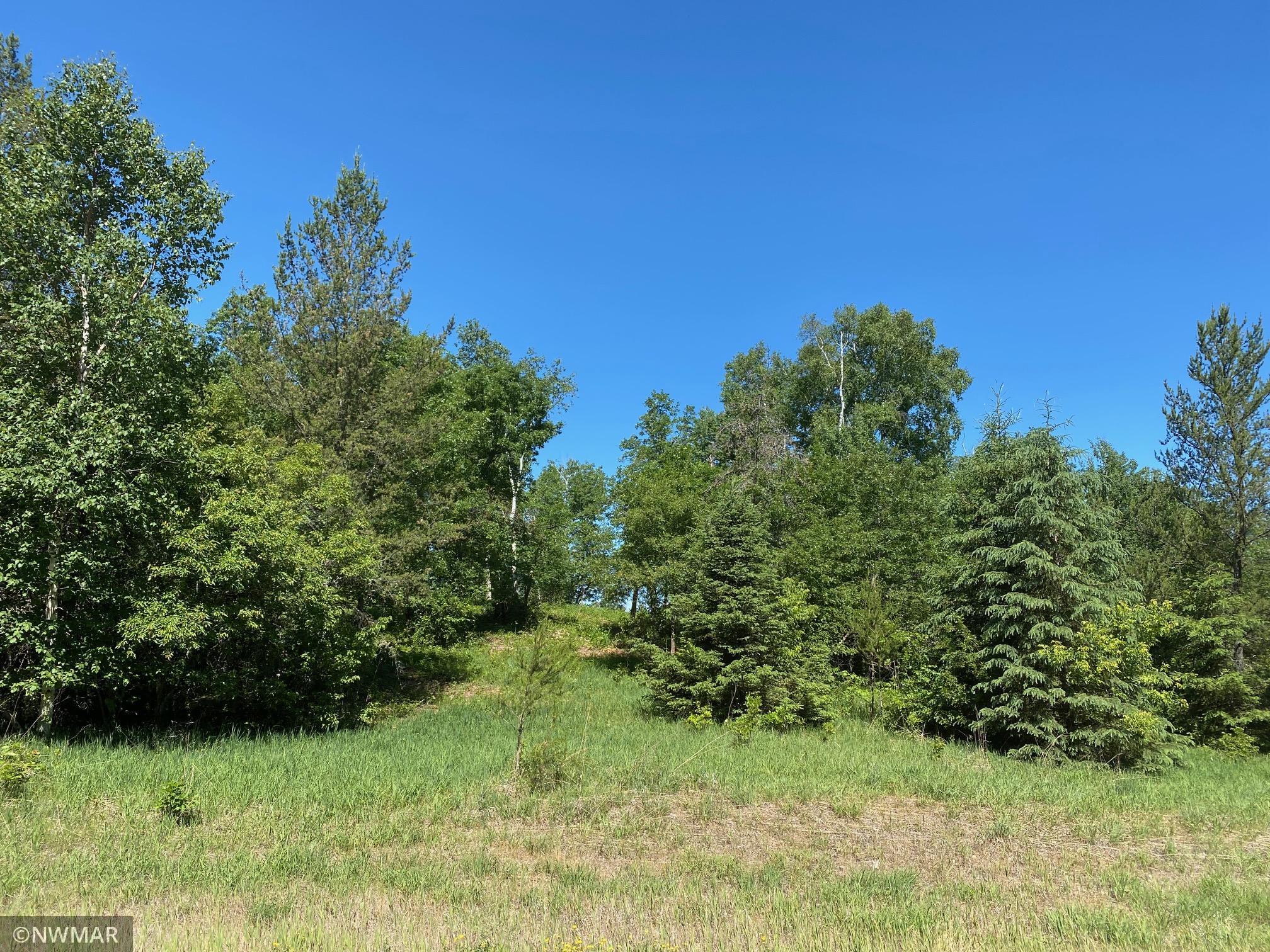 Photo for TBD (L12,B12) Grant Hills Road SW, Bemidji, MN 56601 - Listing #5734044 TBD (L12,B12) Grant Hills Road SW, Bemidji, MN 56601