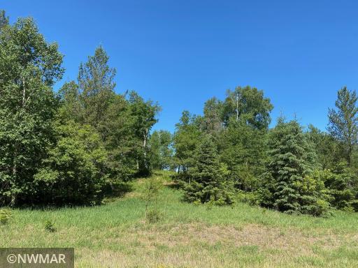Photo for TBD (L12,B12) Grant Hills Road SW, Bemidji, MN 56601 - Listing #5734044 TBD (L12,B12) Grant Hills Road SW, Bemidji, MN 56601