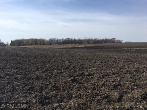 xxxxx Territorial Rd, Rogers, MN 55374