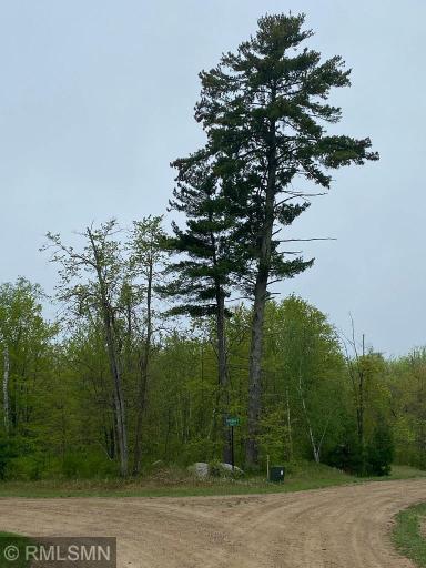 LOT 16 Bear Tract Lane NE, Longville, MN 56655