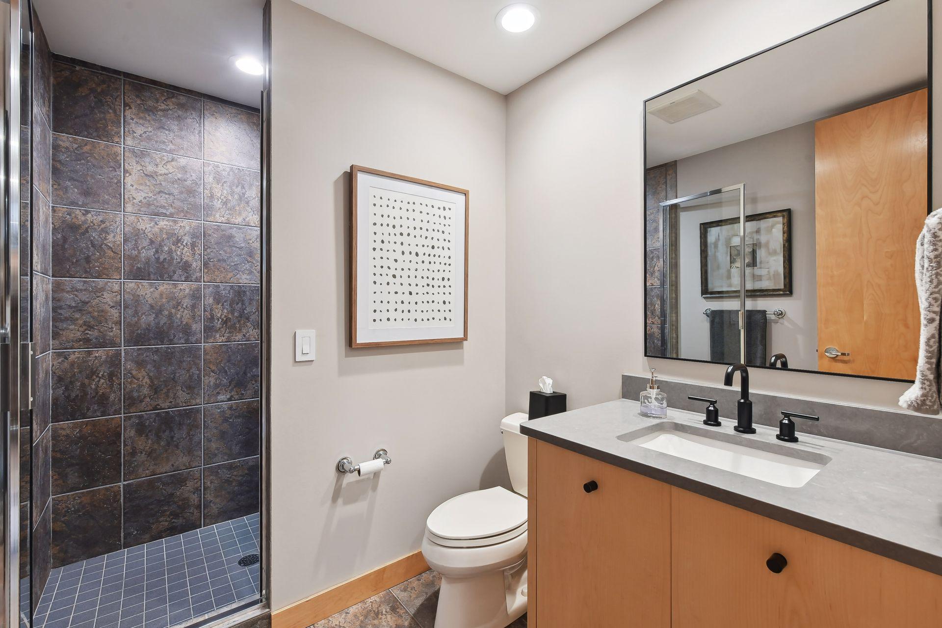 Lower level 3/4 bathroom.