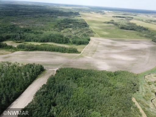 80987 480th Avenue, Wannaska, MN 56761