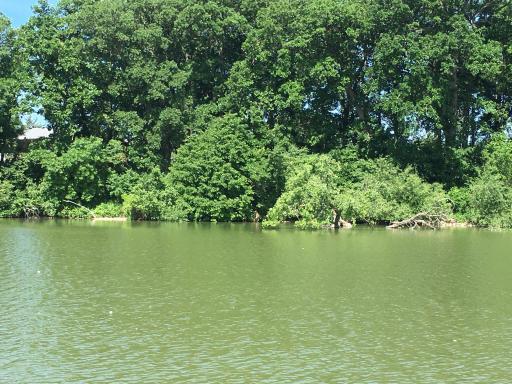 6 N Shore Drive S, Sherburn, MN 56171