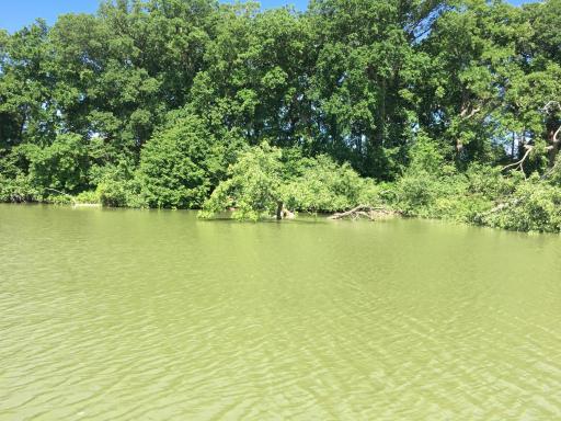 6 N Shore Drive S, Sherburn, MN 56171