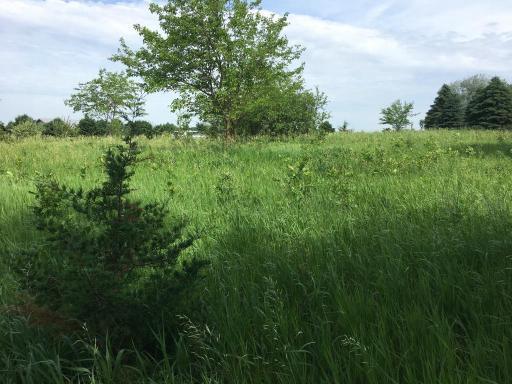 6 N Shore Drive S, Sherburn, MN 56171