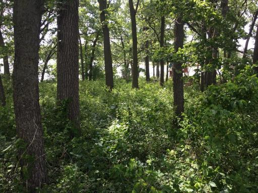 6 N Shore Drive S, Sherburn, MN 56171