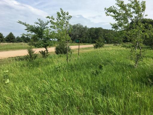 6 N Shore Drive S, Sherburn, MN 56171