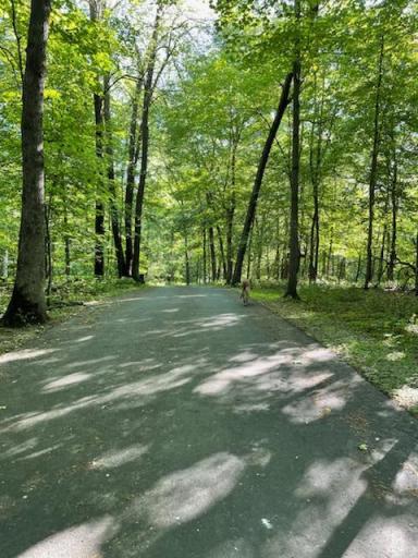 30220 County 1, Spring Valley, MN 55975