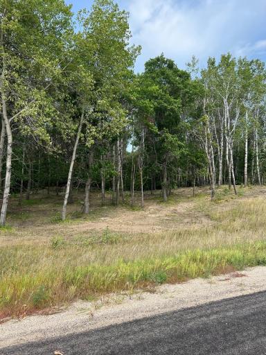 Photo for Lot5 Blk1 Stony Hills Drive, Perham, MN 56573 - Listing #6052170 Lot5 Blk1 Stony Hills Drive, Perham, MN 56573
