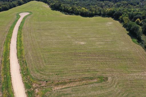 org_7f703db2c0e0f2a6_1631298610000