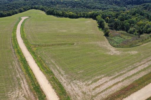 org_de53a9249456666b_1631298594000