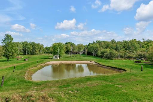 The manmade pond is a little dry with the warm summer, but really attracts the wild life.