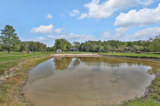 Pond is attractive to a variety of wild life.