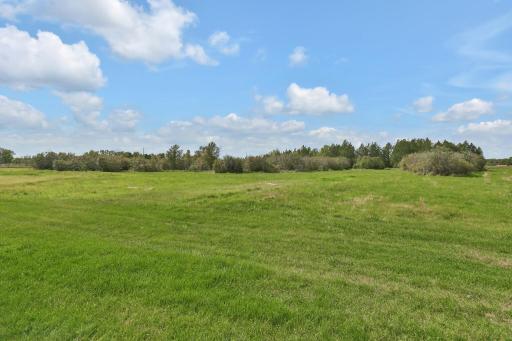 Excellent hay crop off this land. Would make an exceptional horse/equestrian estate.