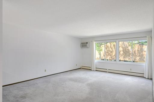 Newer carpet, living room