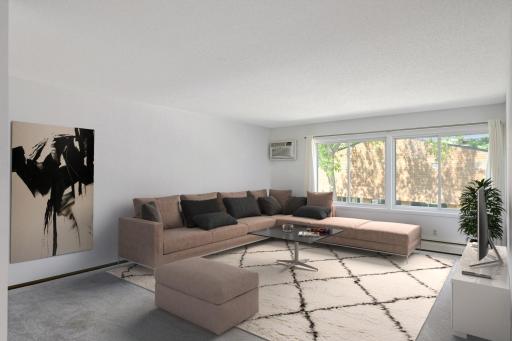 Living room with lots of light