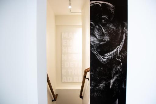 Stairwell between 1st and Mezzanine_Birdie