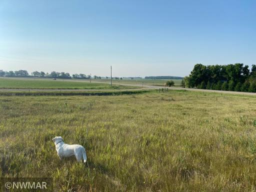 TBD County Highway 54, Frazee, MN 56544