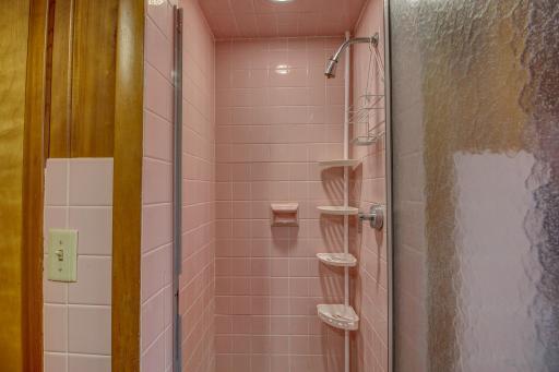 Main Floor Bath Shower