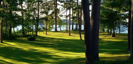 View from Home to Lake