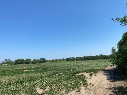 Monticello, MN 55362