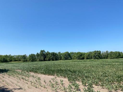 Monticello, MN 55362