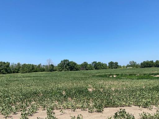 Monticello, MN 55362