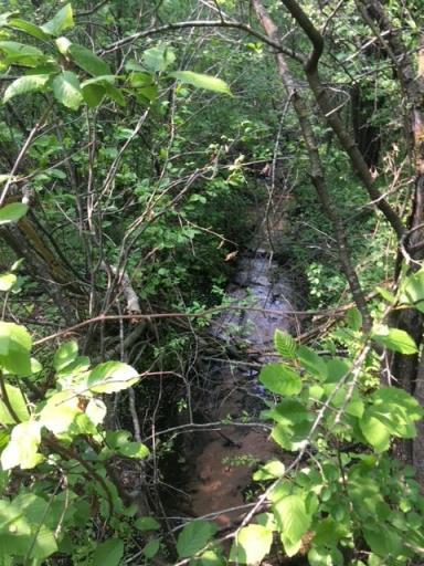 xxxx1 Hemingway Ave, North Branch, MN 55056