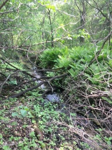 xxxx1 Hemingway Ave, North Branch, MN 55056