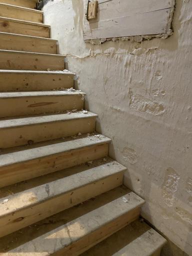 Basement Stairs