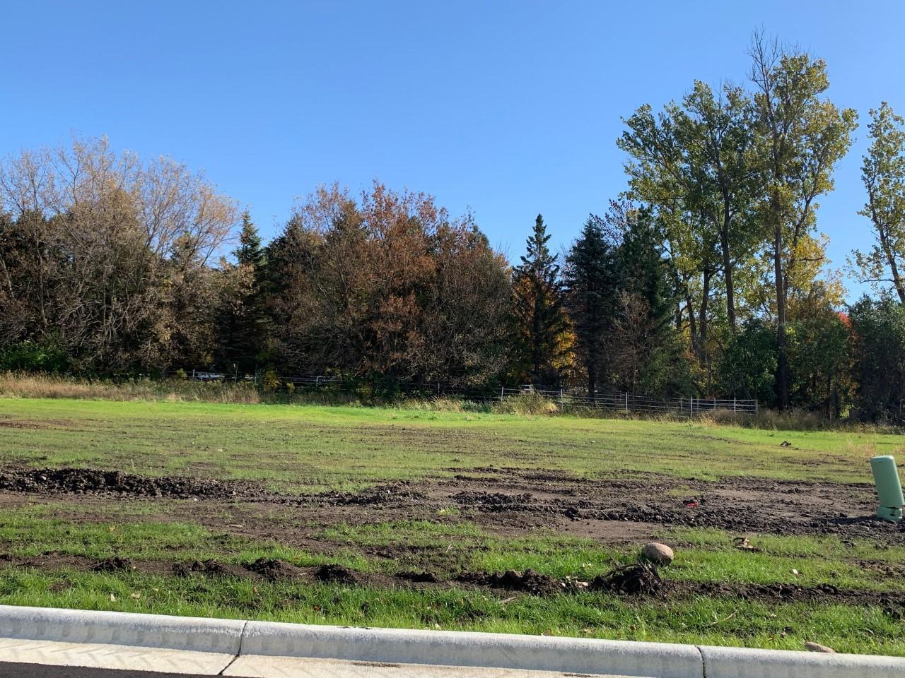 Property photo for 2185 NE Maple Leaf Lane, Owatonna, MN 55060