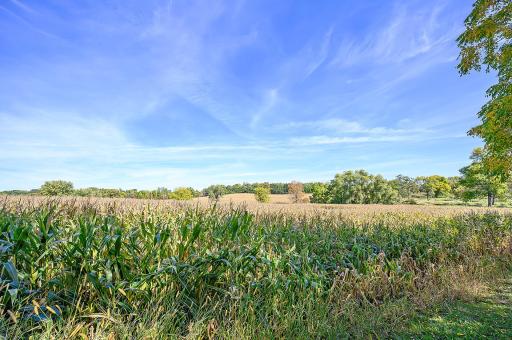 11680 Fletcher Lane, Rogers, MN 55374