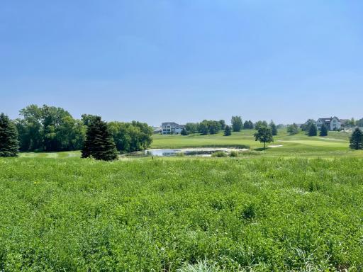 1488 Delamere Drive NE, Byron, MN 55920