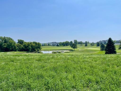 1466 Delamere Drive NE, Byron, MN 55920
