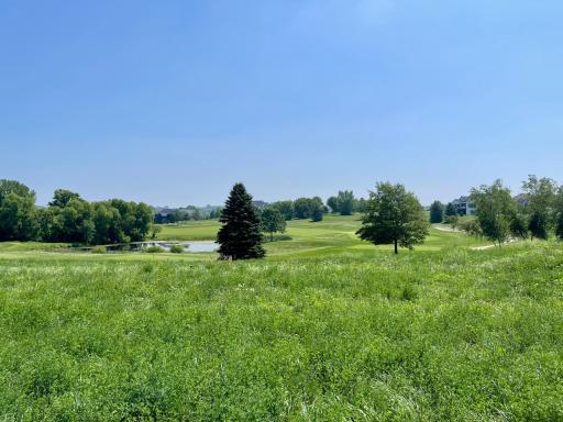 1444 Delamere Drive NE, Byron, MN 55920