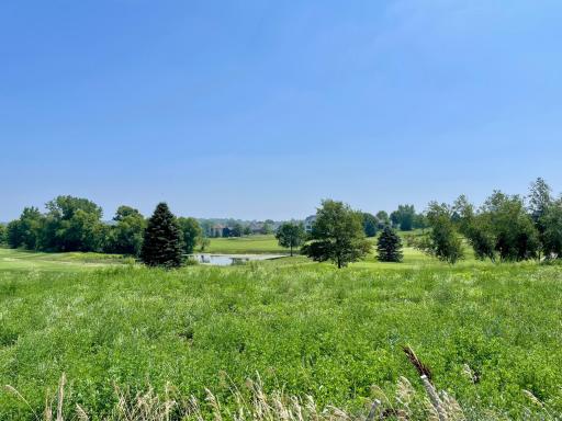 1422 Delamere Drive NE, Byron, MN 55920