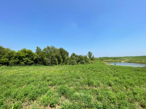 1420 Somerby Place NE, Byron, MN 55920