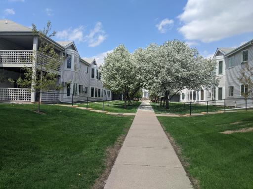 PXL_20220518_190958812 (002).jpg